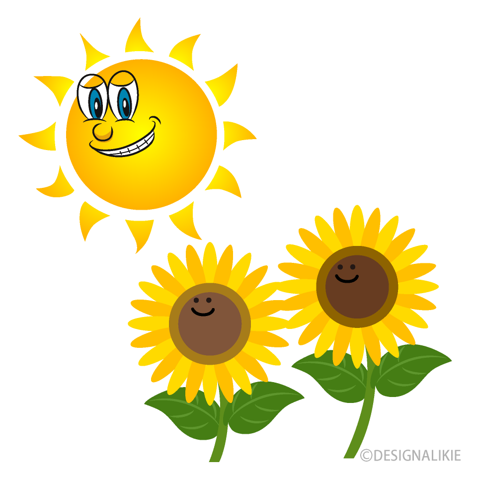 Sun and Sunflower