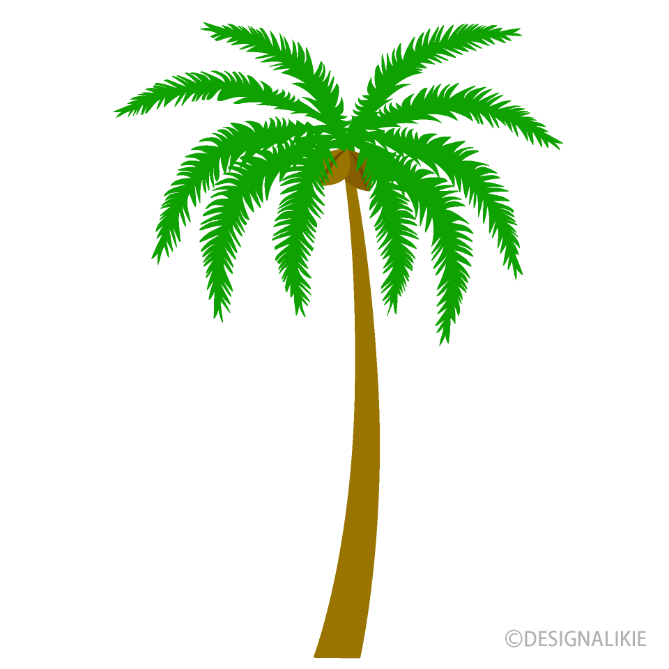 One Palm Tree Clip Art Free PNG Image｜Illustoon