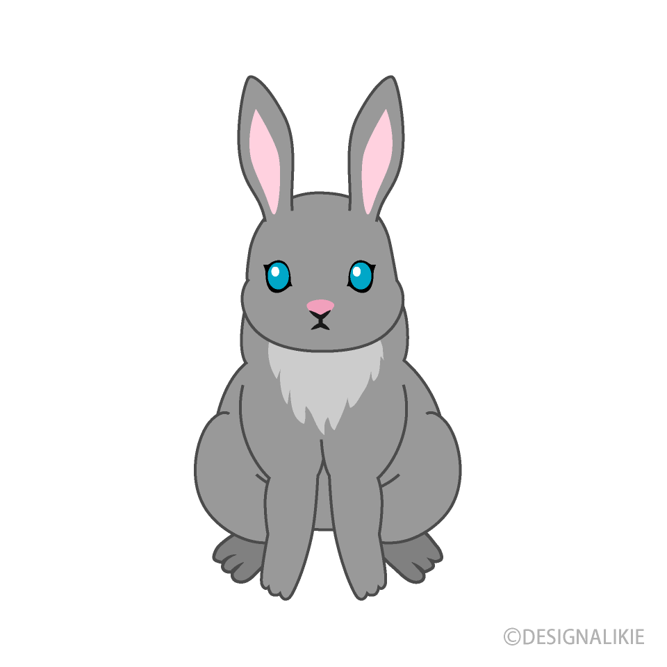 Frente de conejo gris Gratis Dibujos Animados Imágene｜Illustoon ES