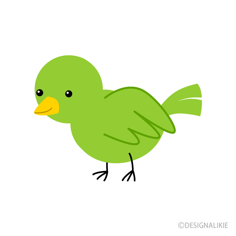 Green Little Bird