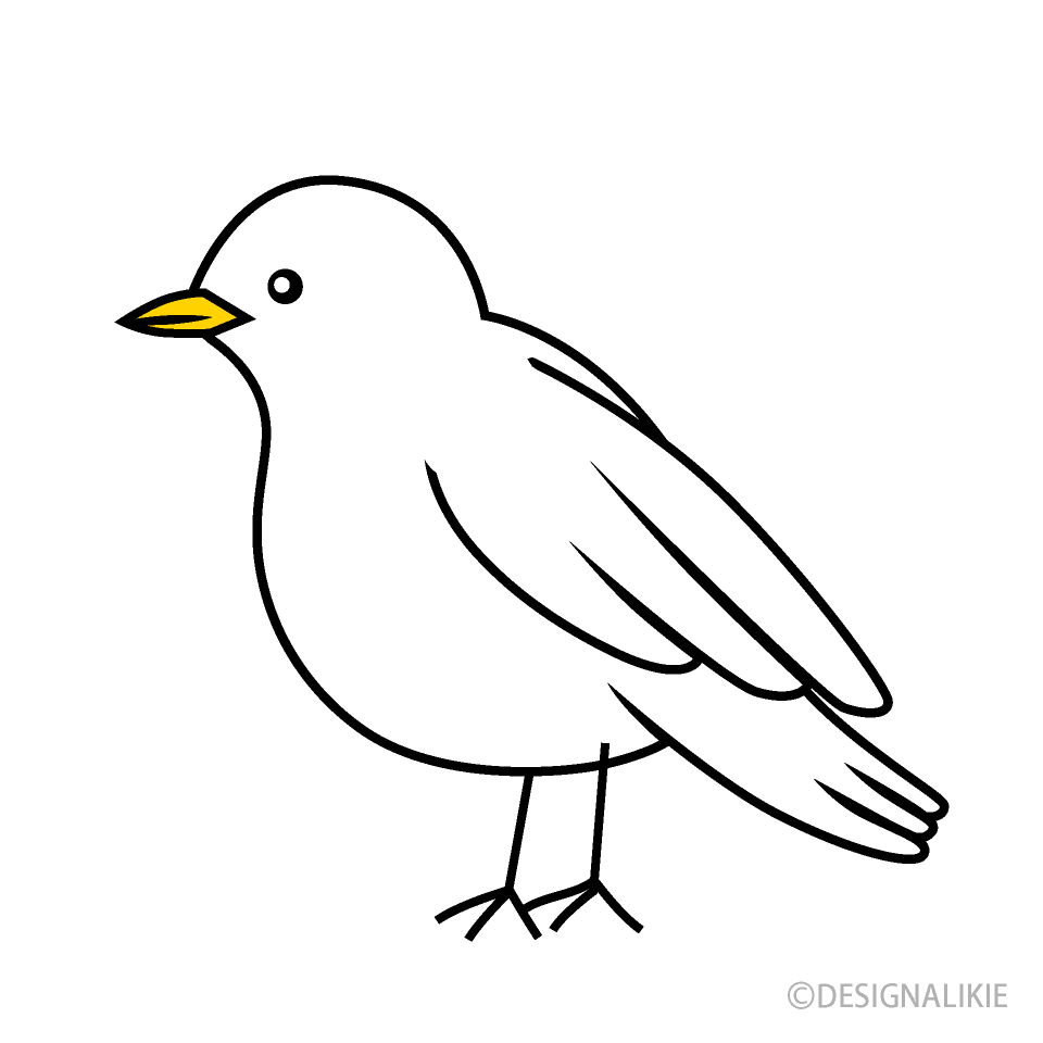 Pájaro blanco