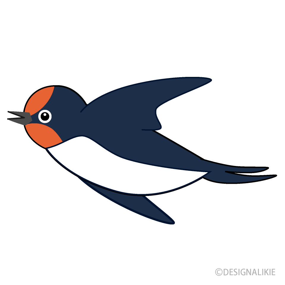 Flying Cute Swallow