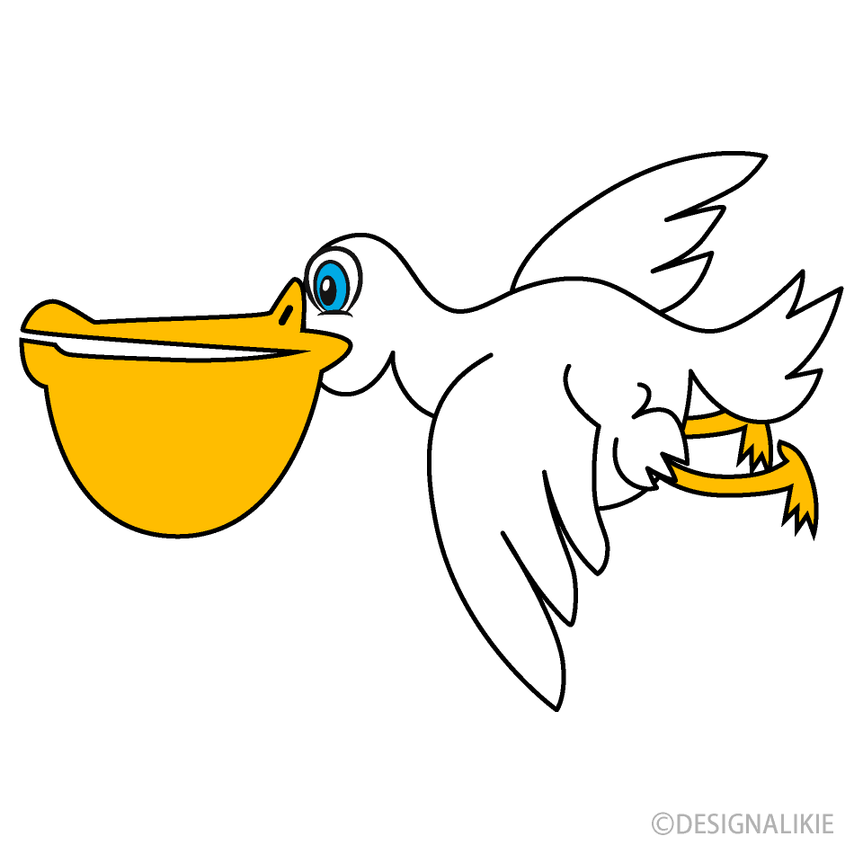 Flying Pelican Cartoon Free PNG Image｜Illustoon