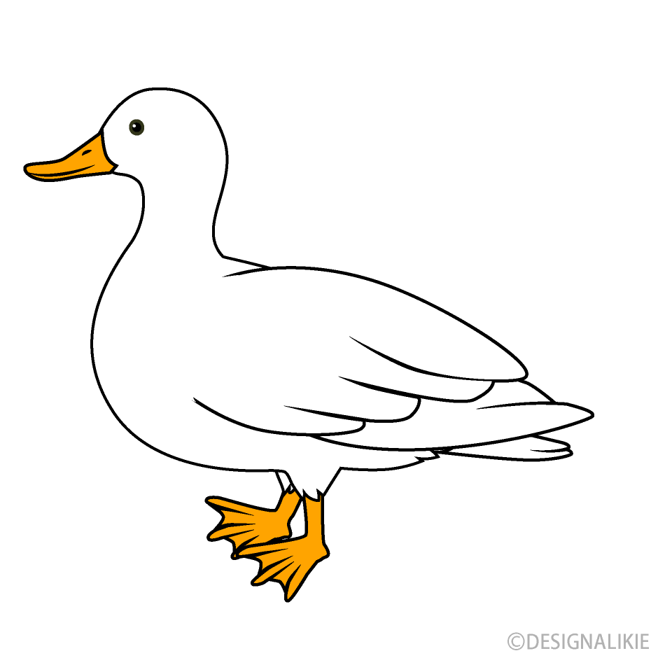 Pato blanco Gratis Dibujos Animados Imágene｜Illustoon ES