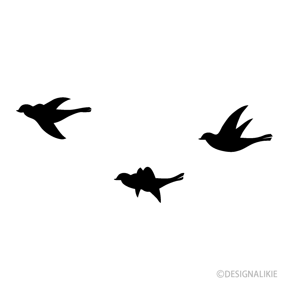 Pájaros voladores en blanco y negro