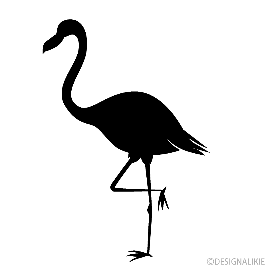 Flamingo Black and White