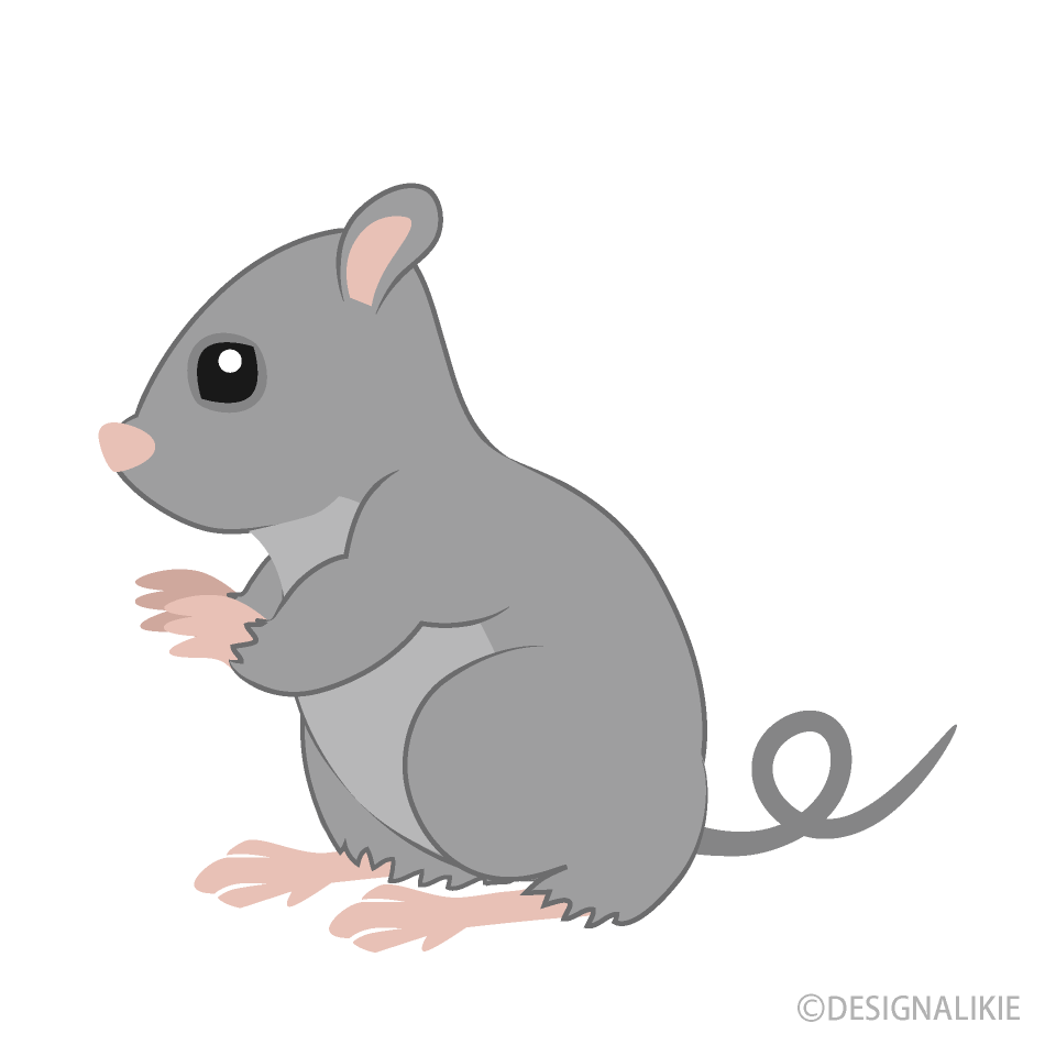 Sitting Mouse Clip Art Free PNG Image｜Illustoon
