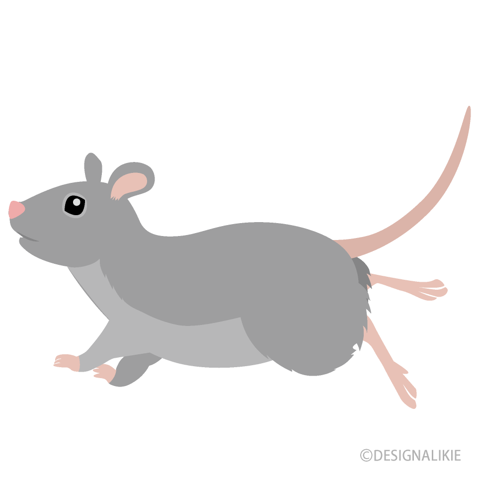 Ratón corriendo