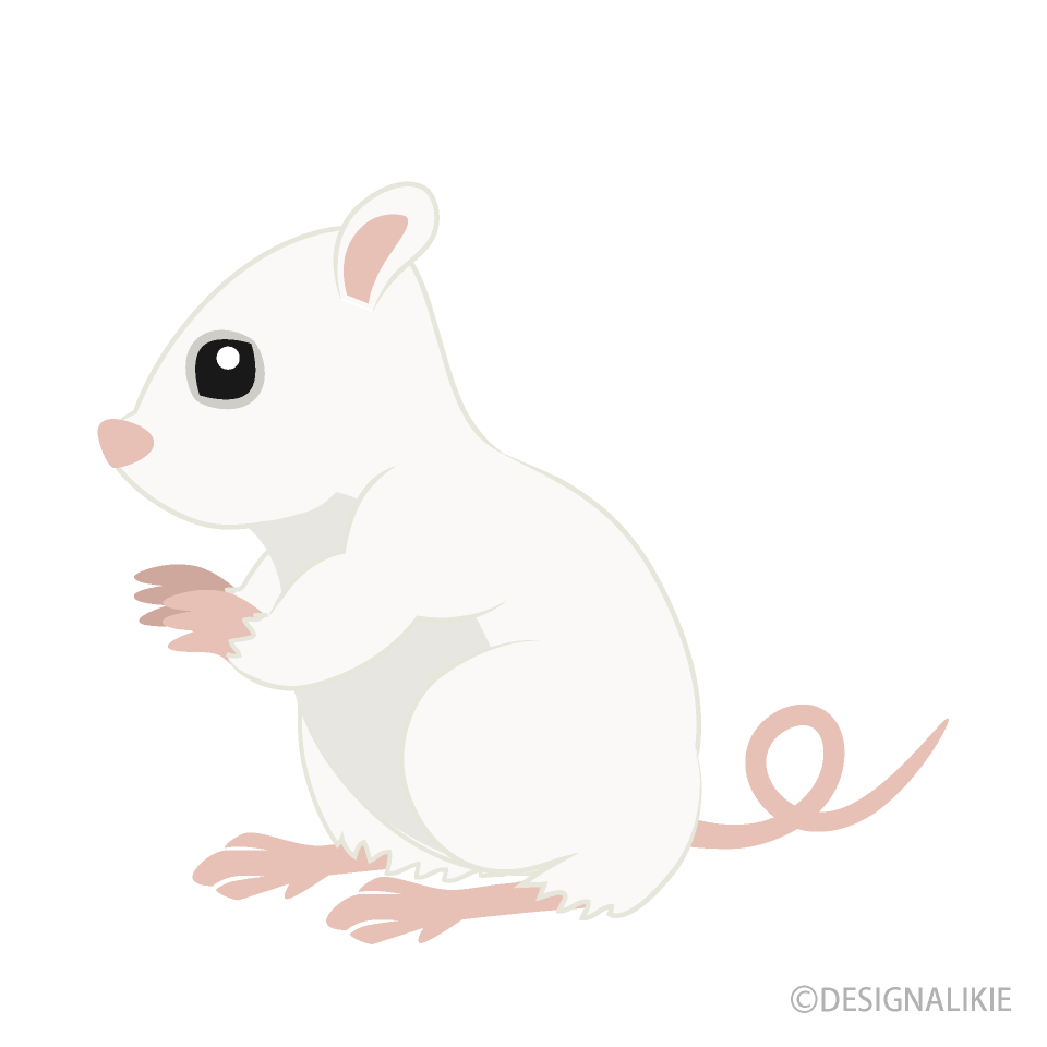 Ratón blanco sentado