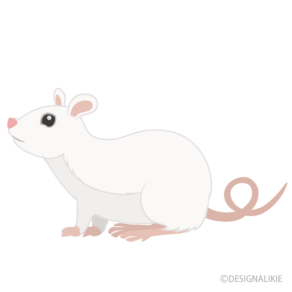 Ratón blanco Gratis Dibujos Animados Imágene｜Illustoon ES