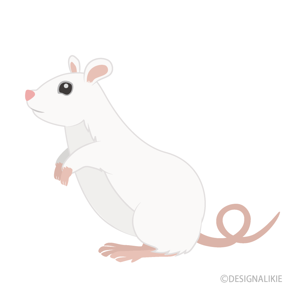 Ratón blanco de pie