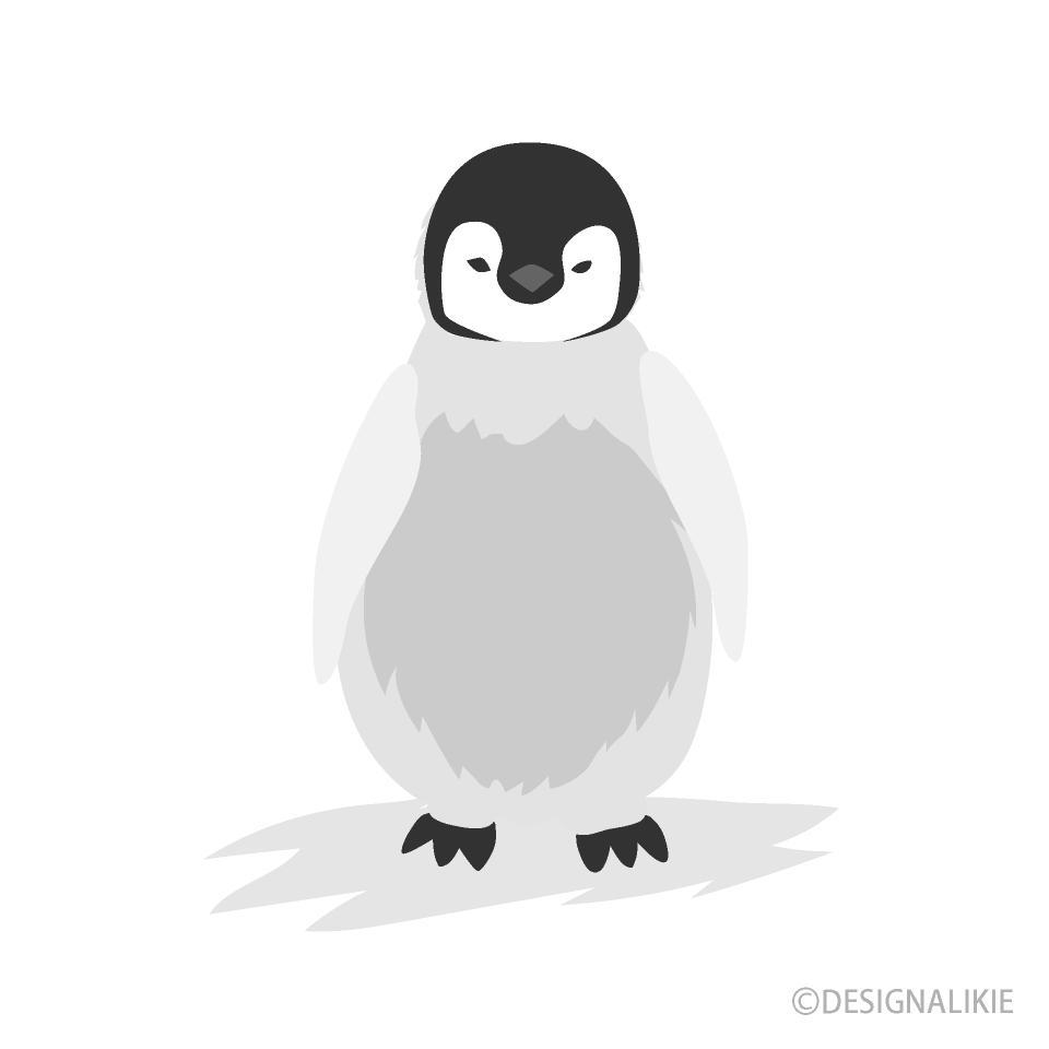 Child Penguin