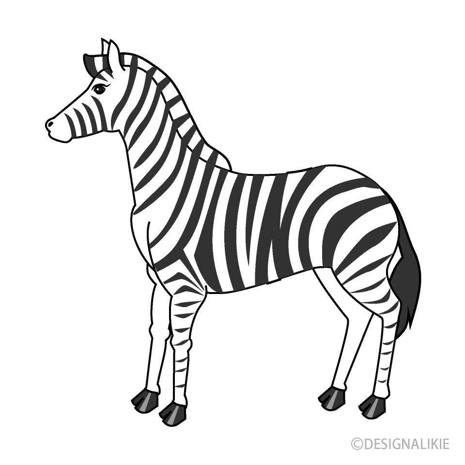 cute zebra clipart black and white