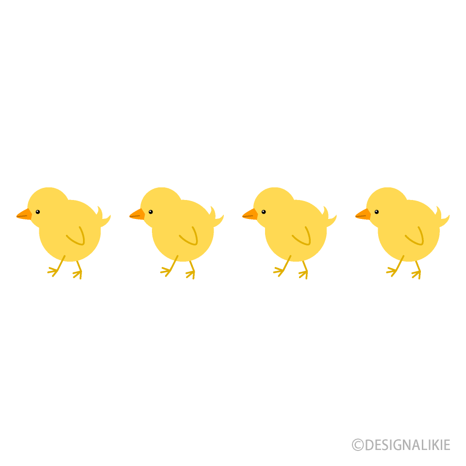 Pollitos caminando