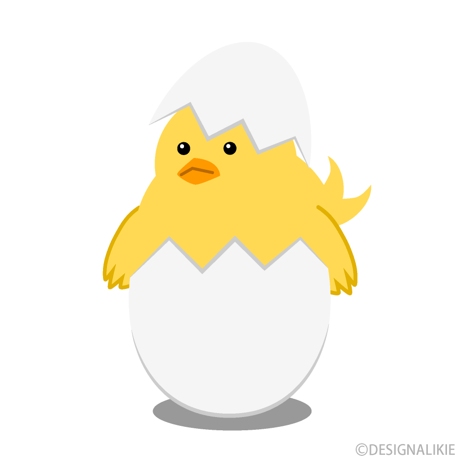 Pollito nacido de huevo