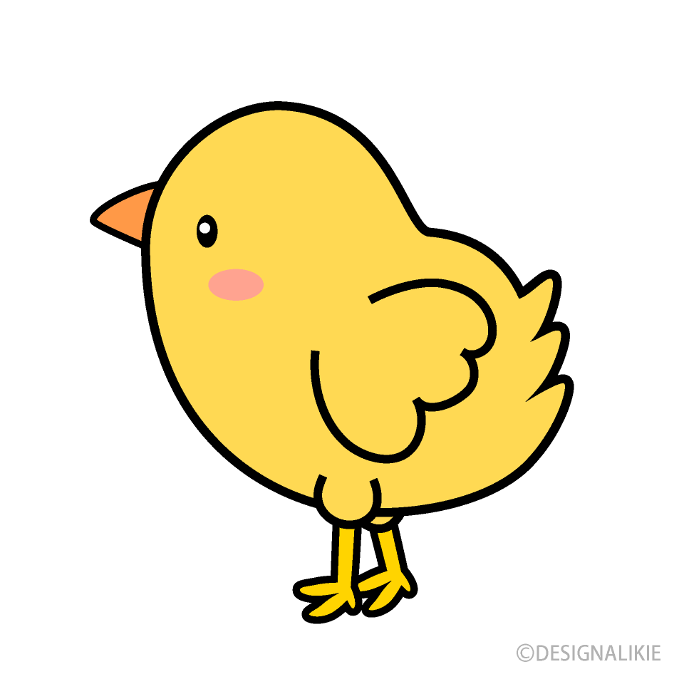 Cute Chick Cartoon Free PNG Image｜Illustoon
