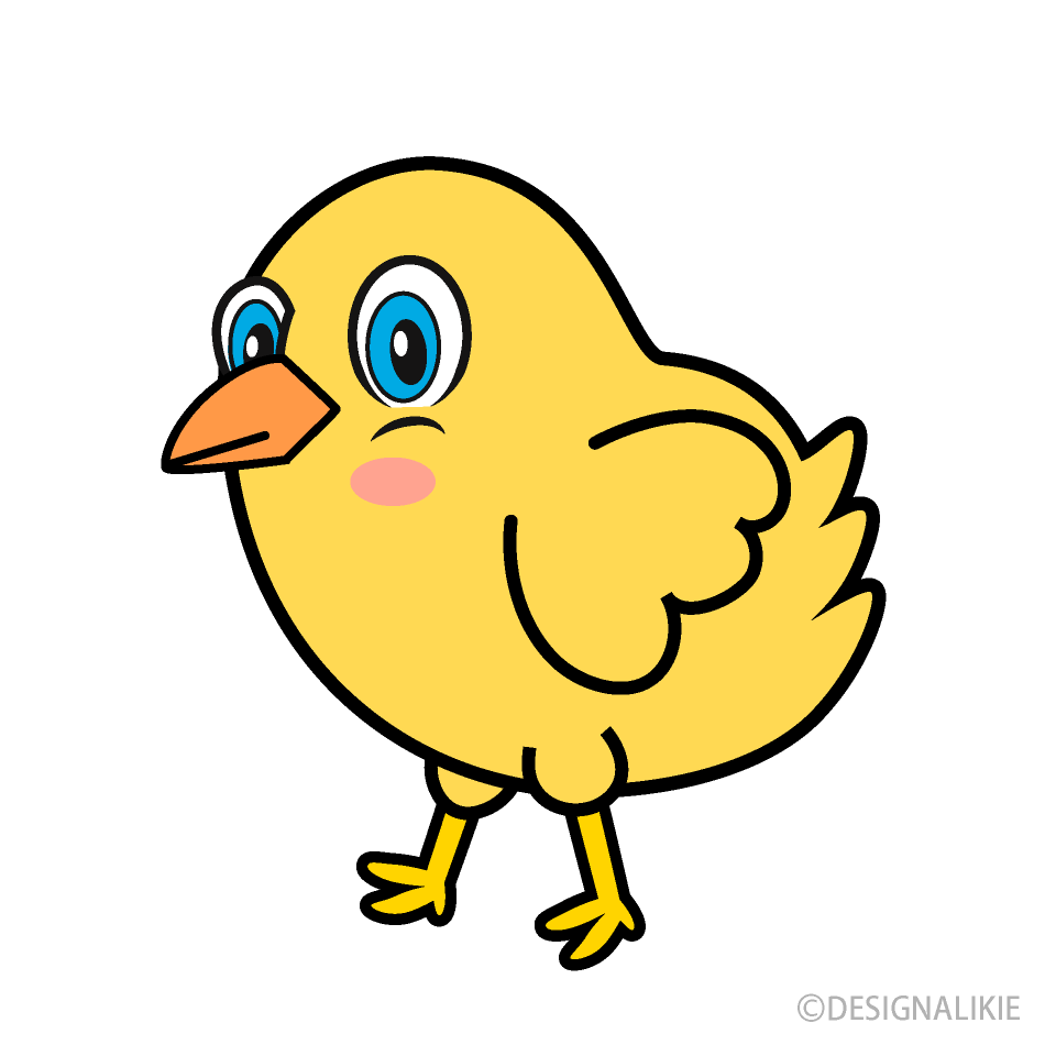 Chick Cartoon Free PNG Image｜Illustoon