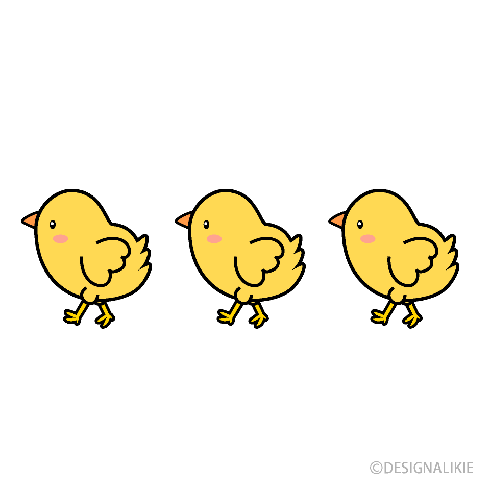 Tres polluelos