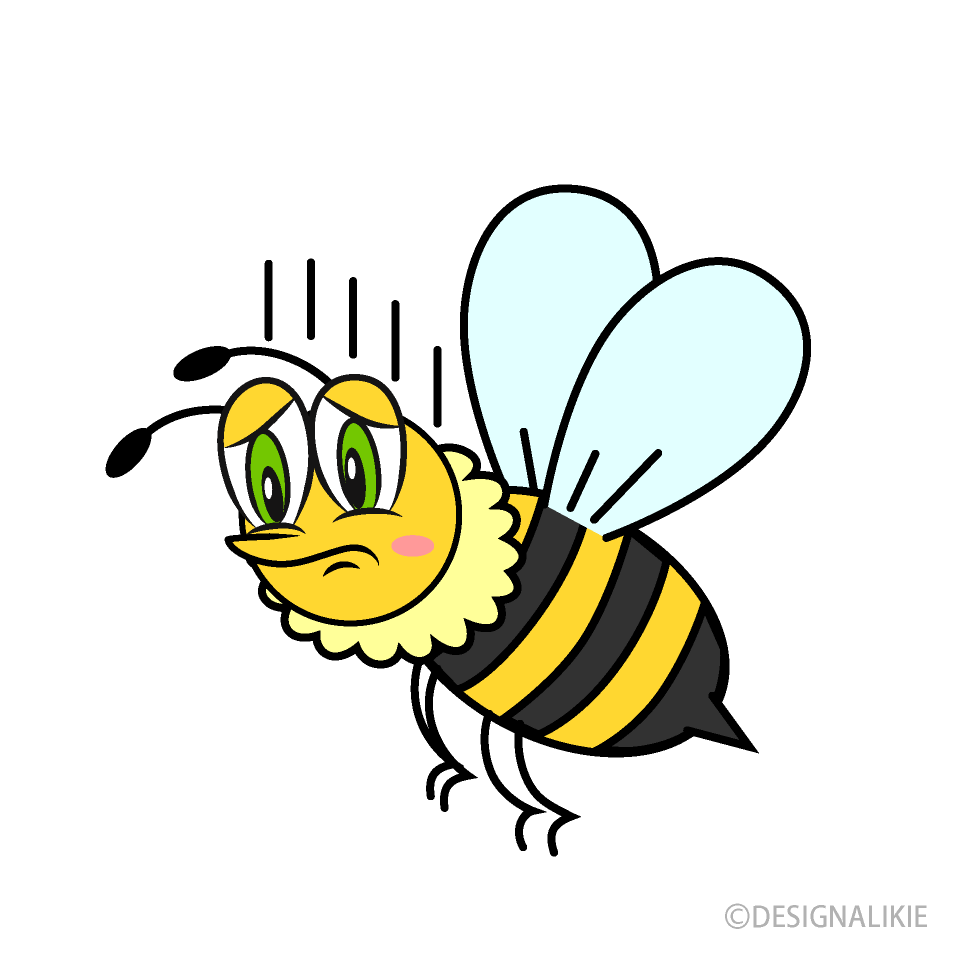 Dull Bee