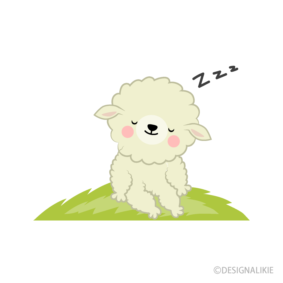 Cute Sleeping Sheep