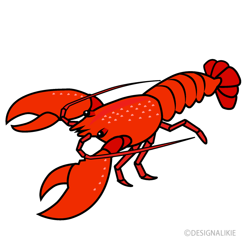 clip art lobster