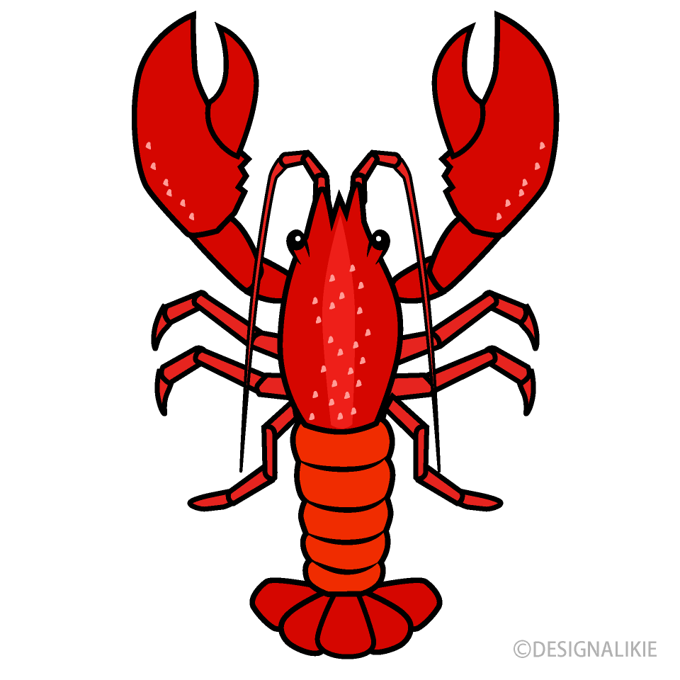 Lobster from Above