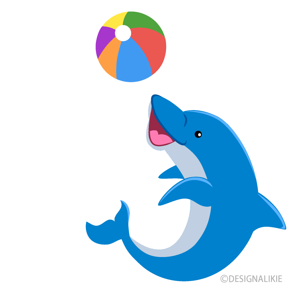 Dolphin Playing with Ball