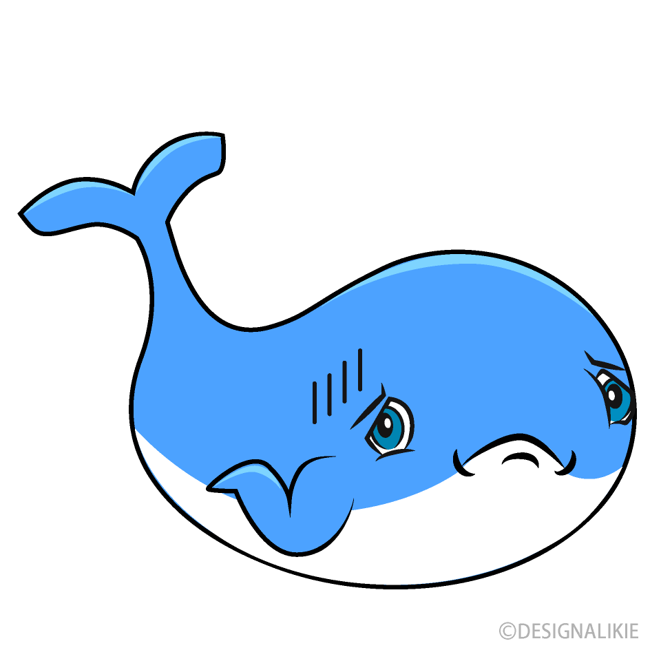 Depressed Whale Cartoon Free PNG Image｜Illustoon