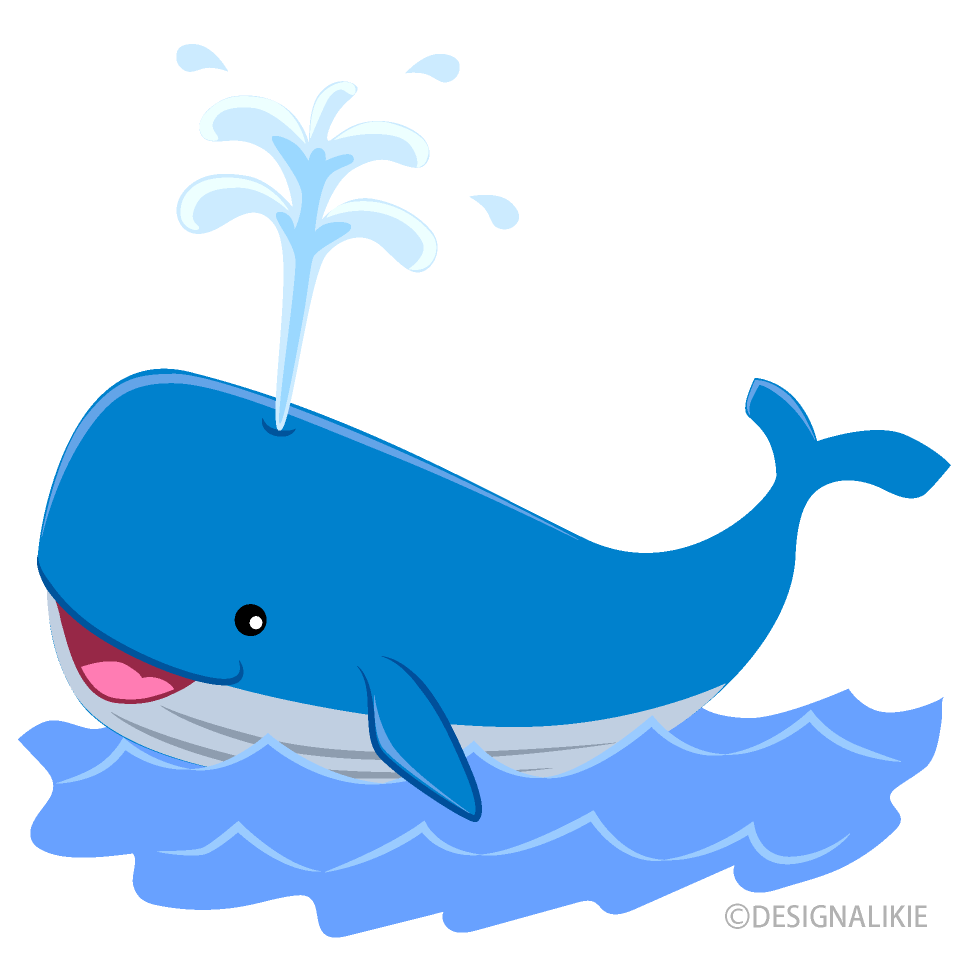Linda ballena azul en el mar