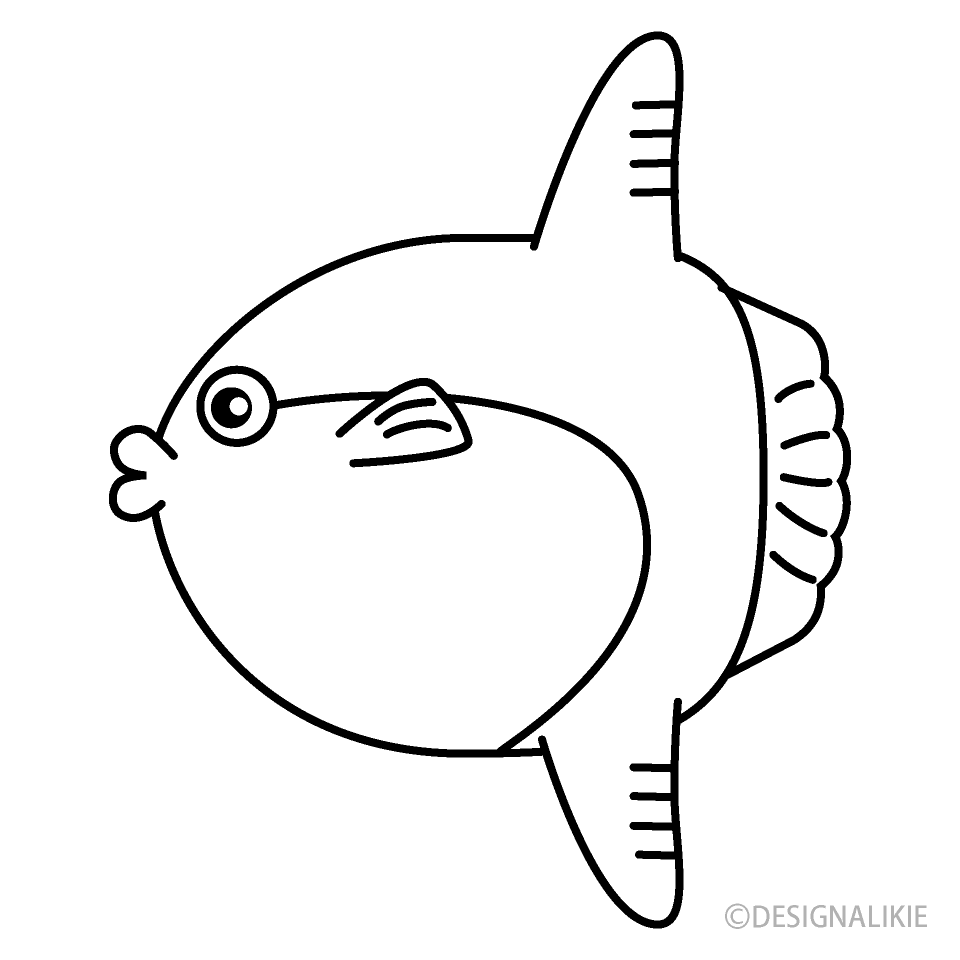 Sunfish Black and White