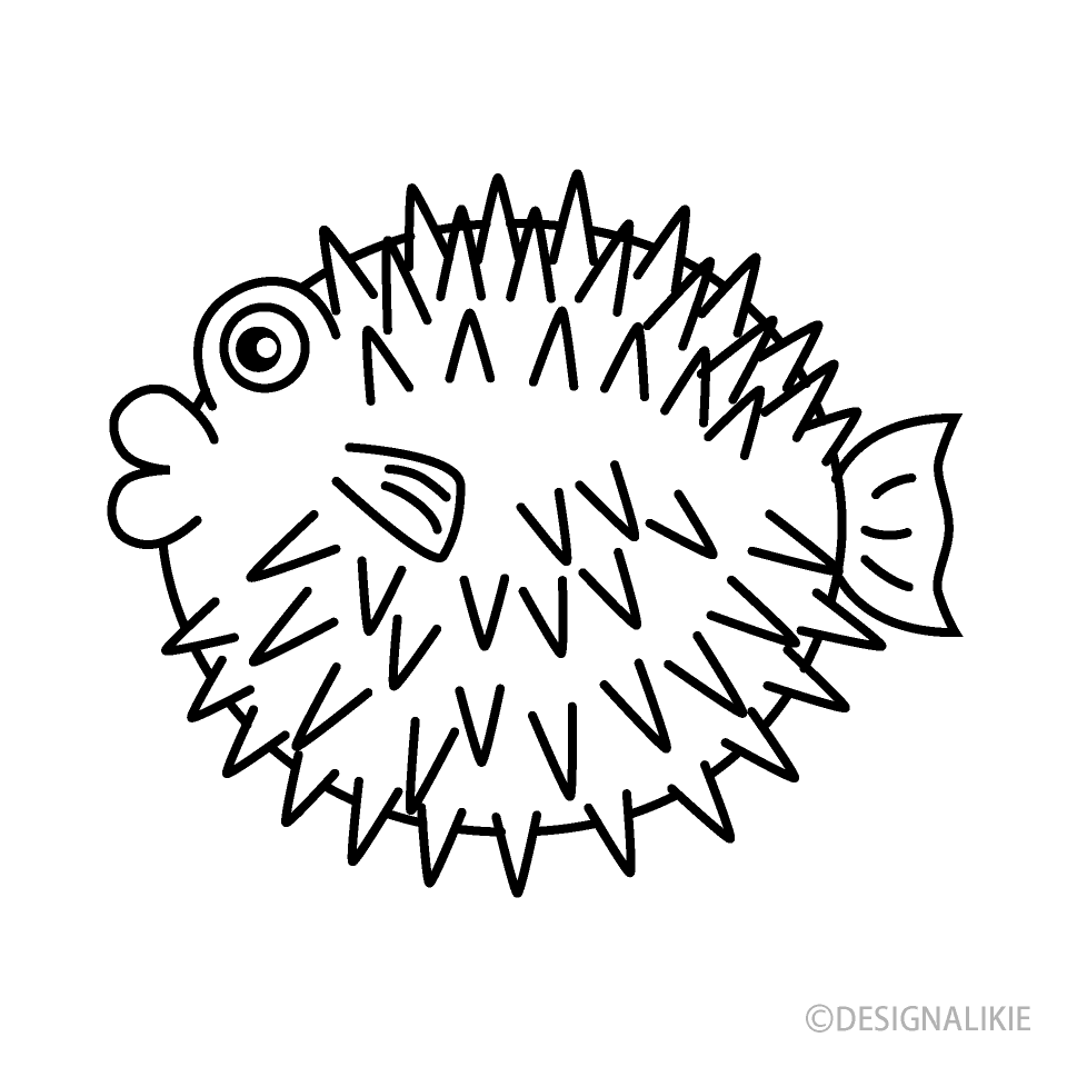 Porcupinefish Black and White
