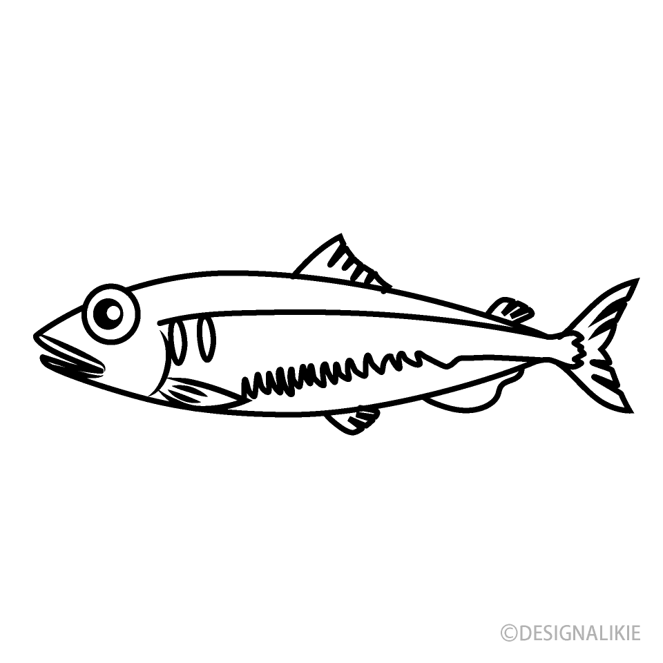 Freshwater Fish Black and White
