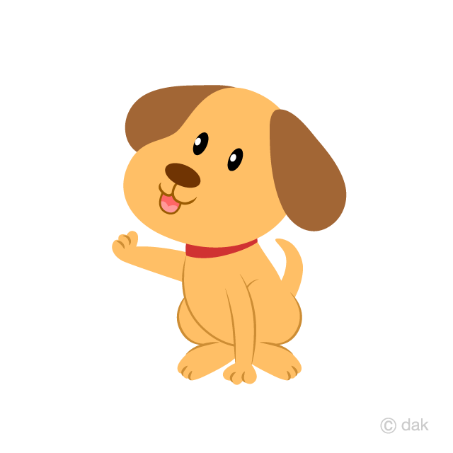 Puppy raised hand