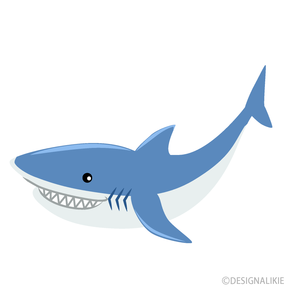 Cute Shark Cartoon Free PNG Image｜Illustoon