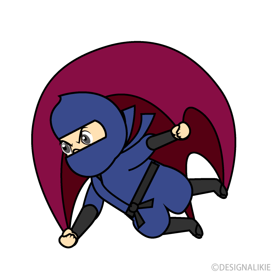 Ninja volador
