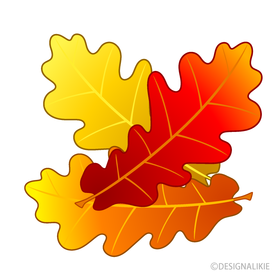 Acorn Autumn Leaves