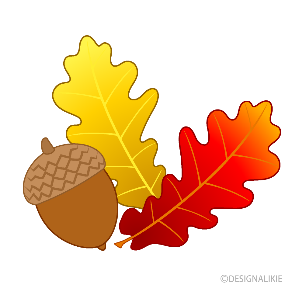 Acorn and Colored Leaves