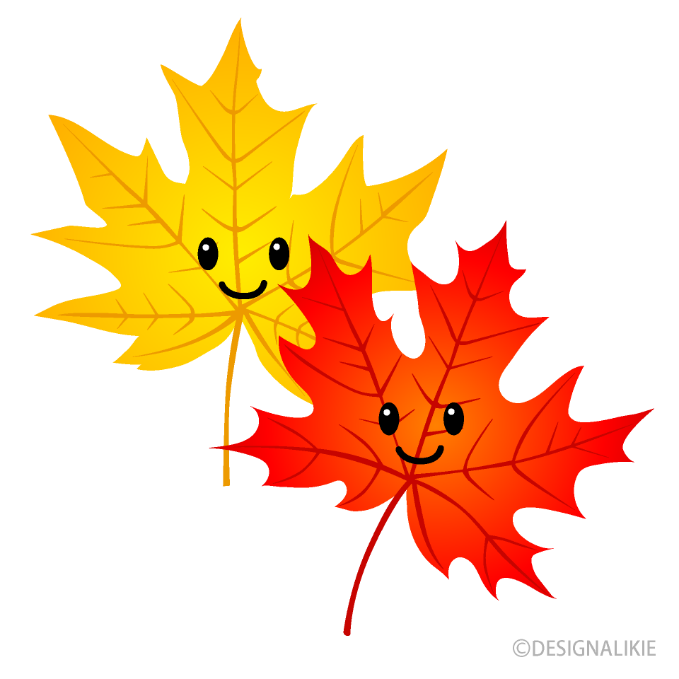 Red and Yellow Cute Maple Leaves
