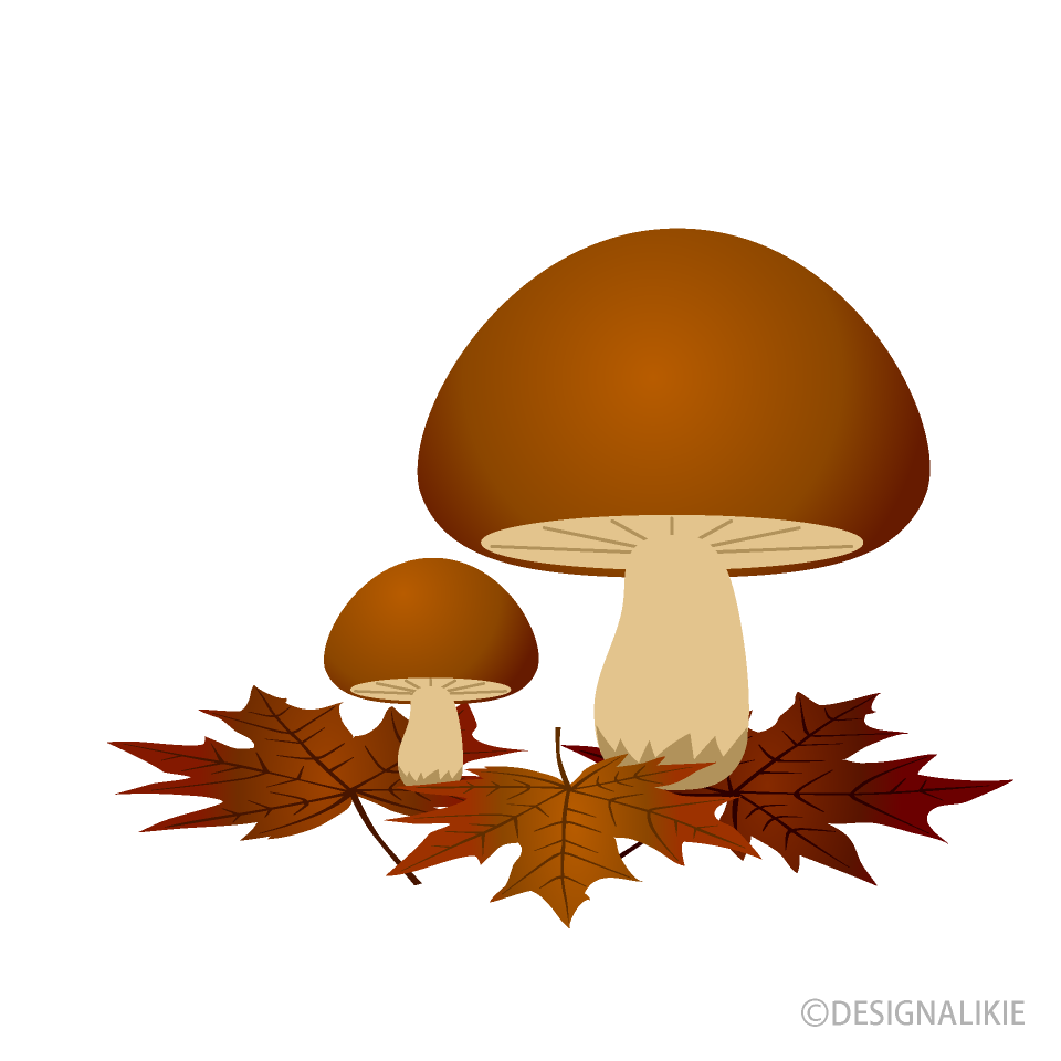Mushrooms and Fallen Leaves