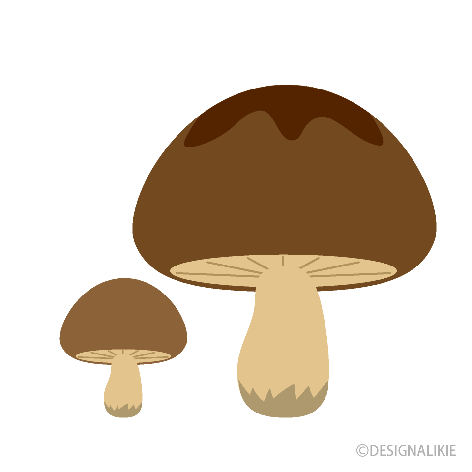 Parent and Child Mushroom
