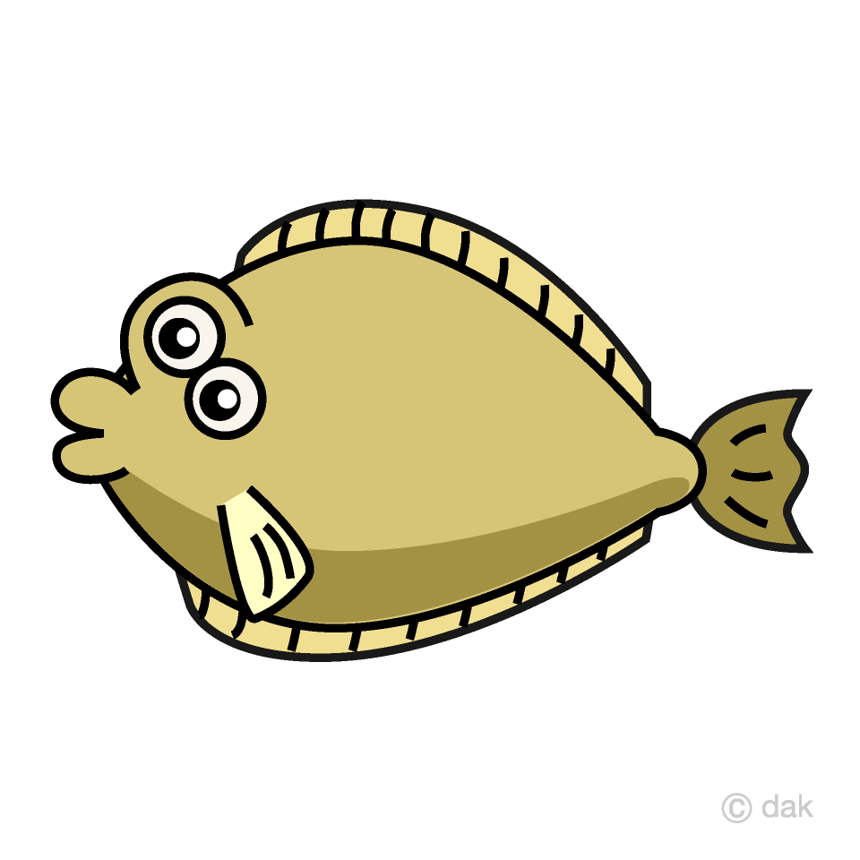 Cute Flounder