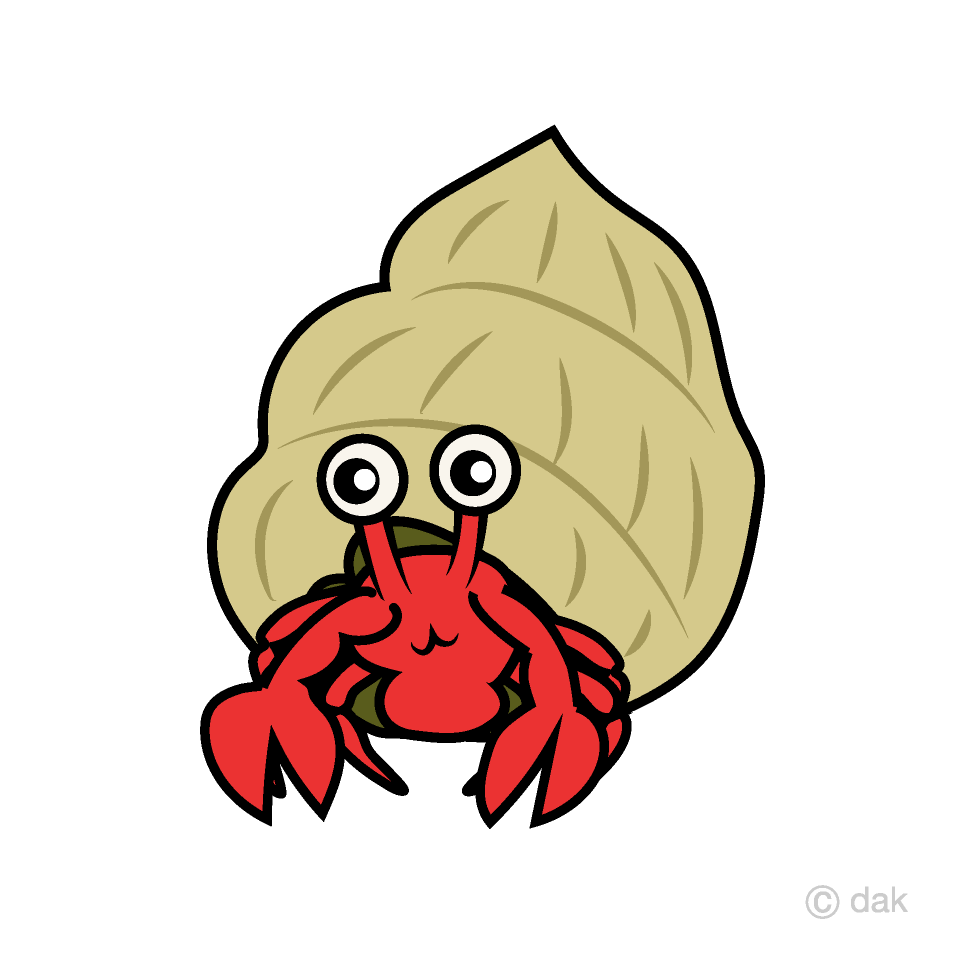 Hermit crab Clip Art Free PNG Image｜Illustoon
