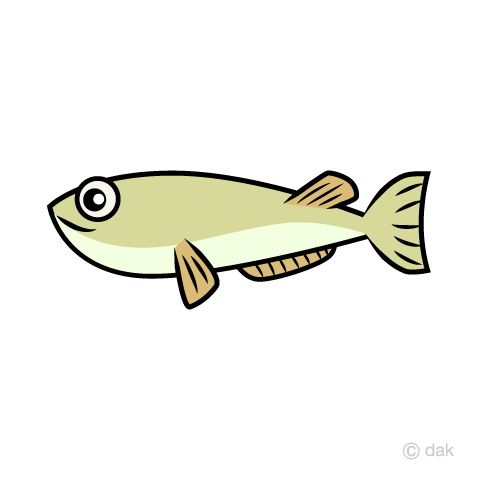 Small Fish Clip Art Free PNG Image｜Illustoon