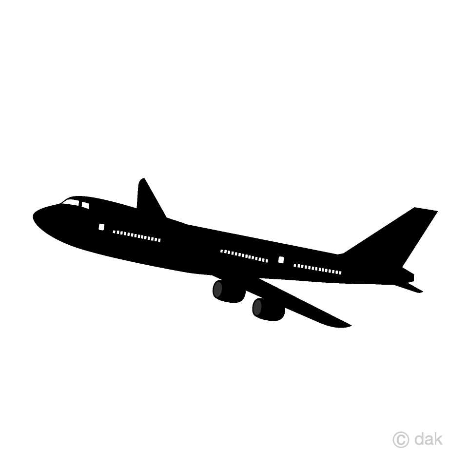 Avión blanco y negro