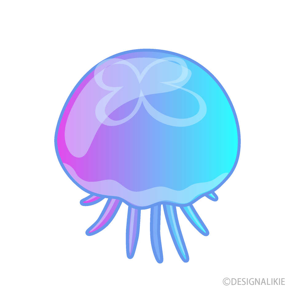 Beautiful Jellyfish from Above