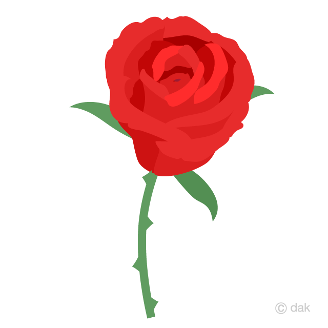  Hermosa rosa roja Gratis Dibujos Animados Imágene｜Illustoon ES
