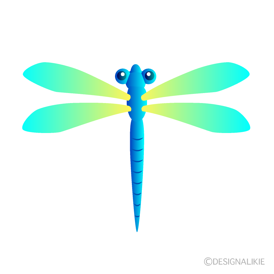 Colorful Dragonfly