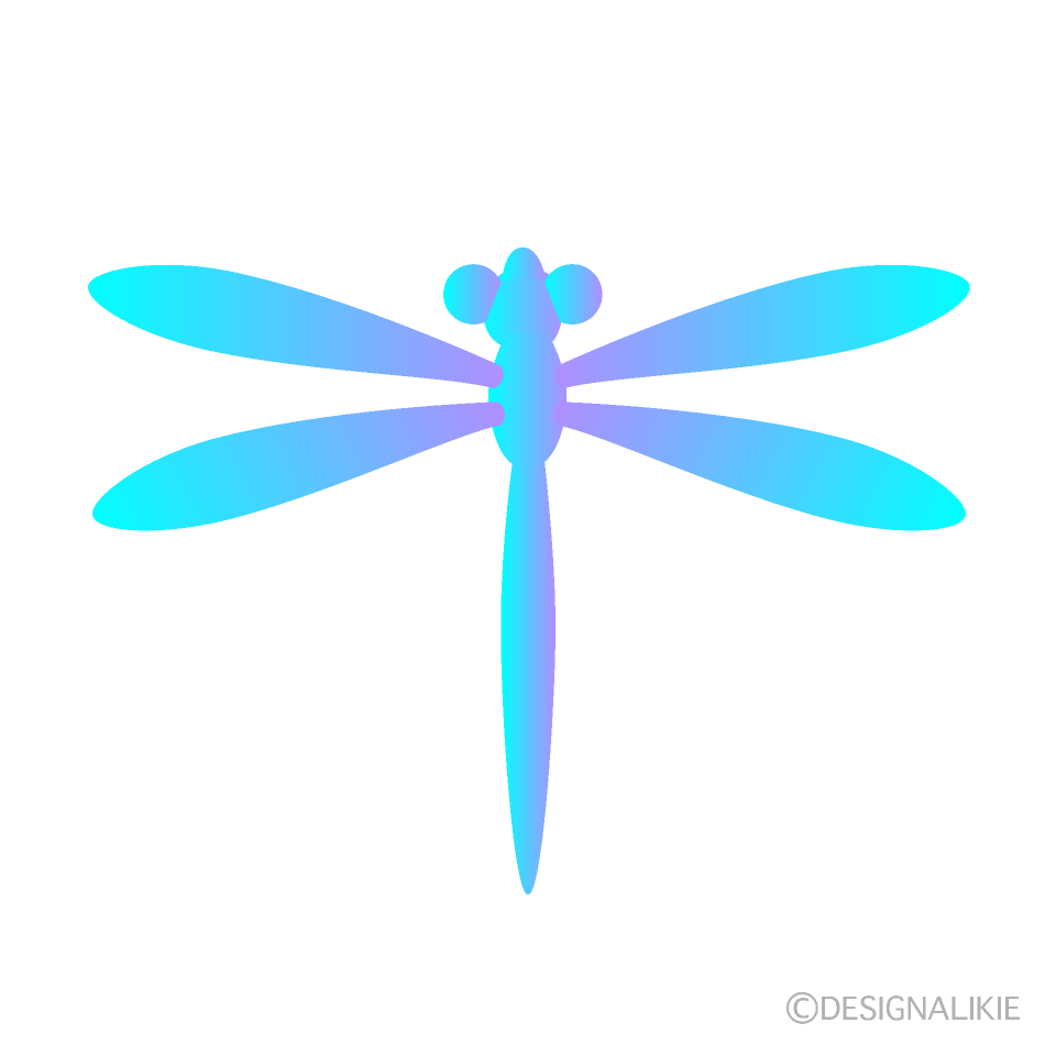 Light Blue Dragonfly