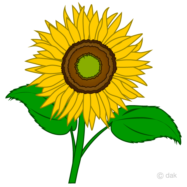 Simple Sunflower Clipart Free Png Image Illustoon