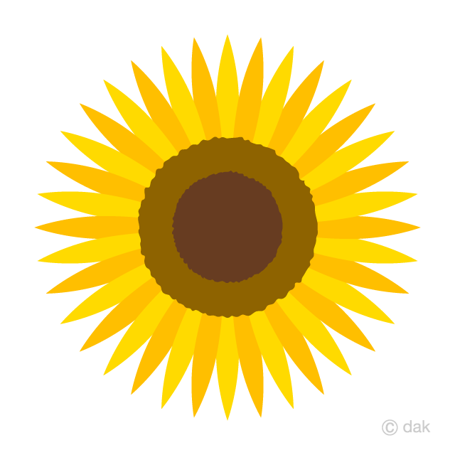 Simple Sunflower Flower Only
